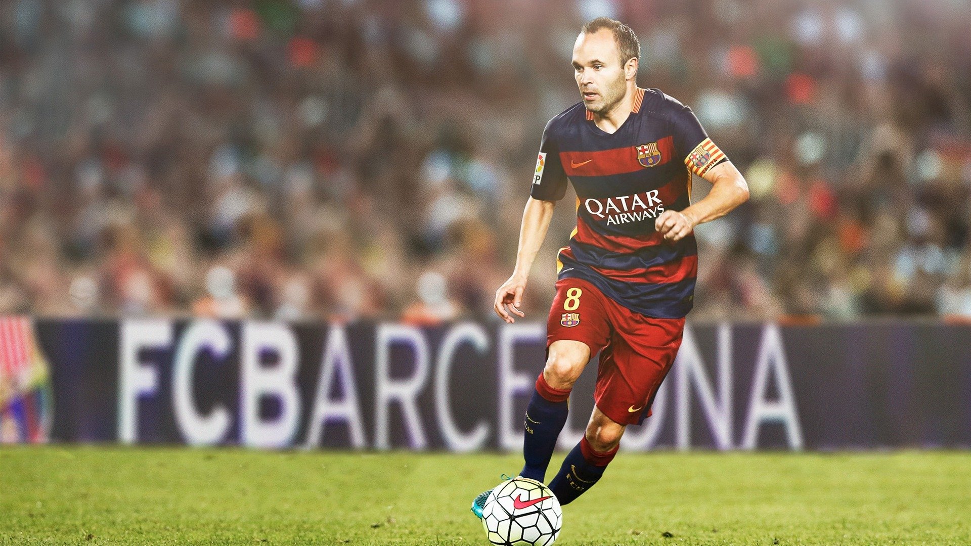 温网草地赛场再现经典对决